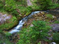 Bogenförmiger Bachverlauf